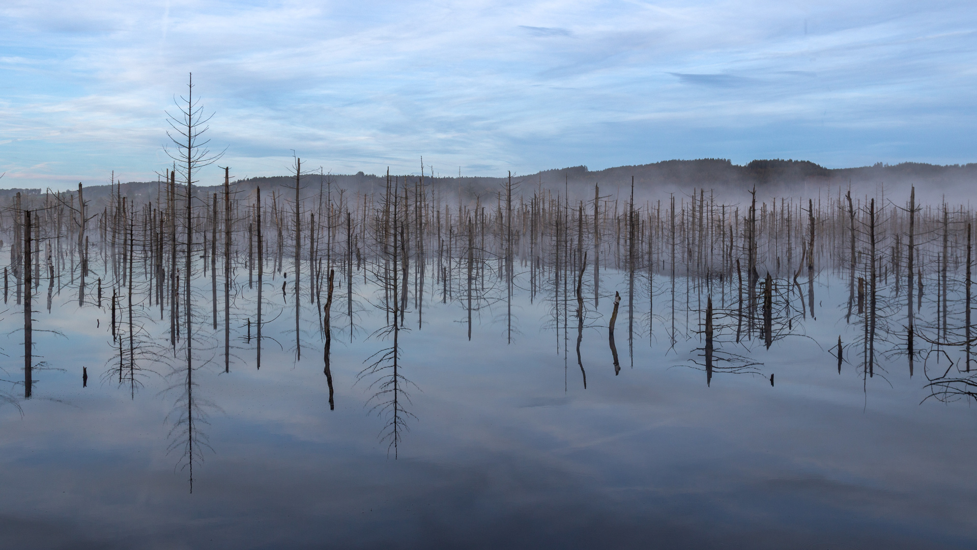 Blaue Stunde im Moor...