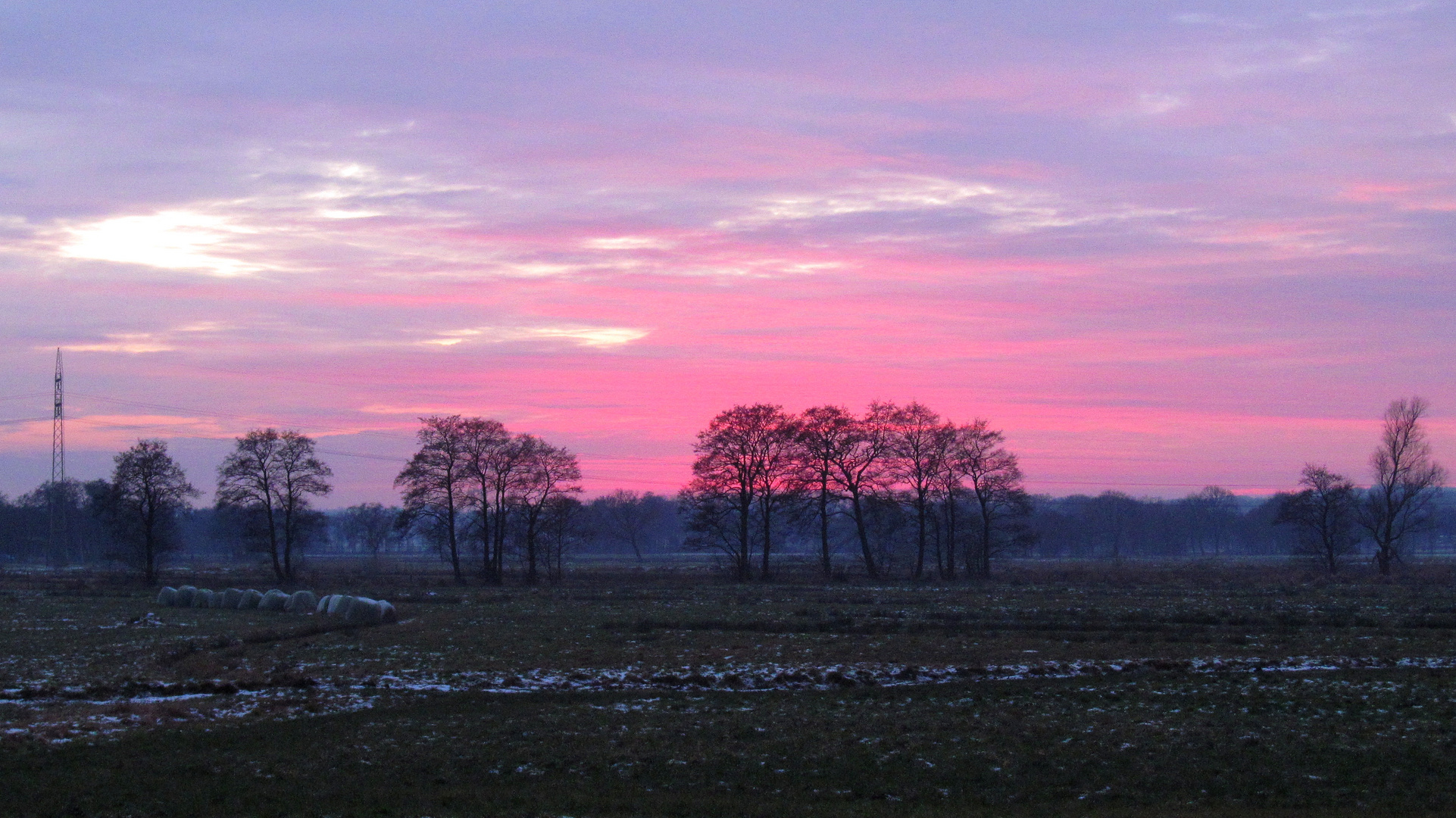 Blaue Stunde im Moor ... 