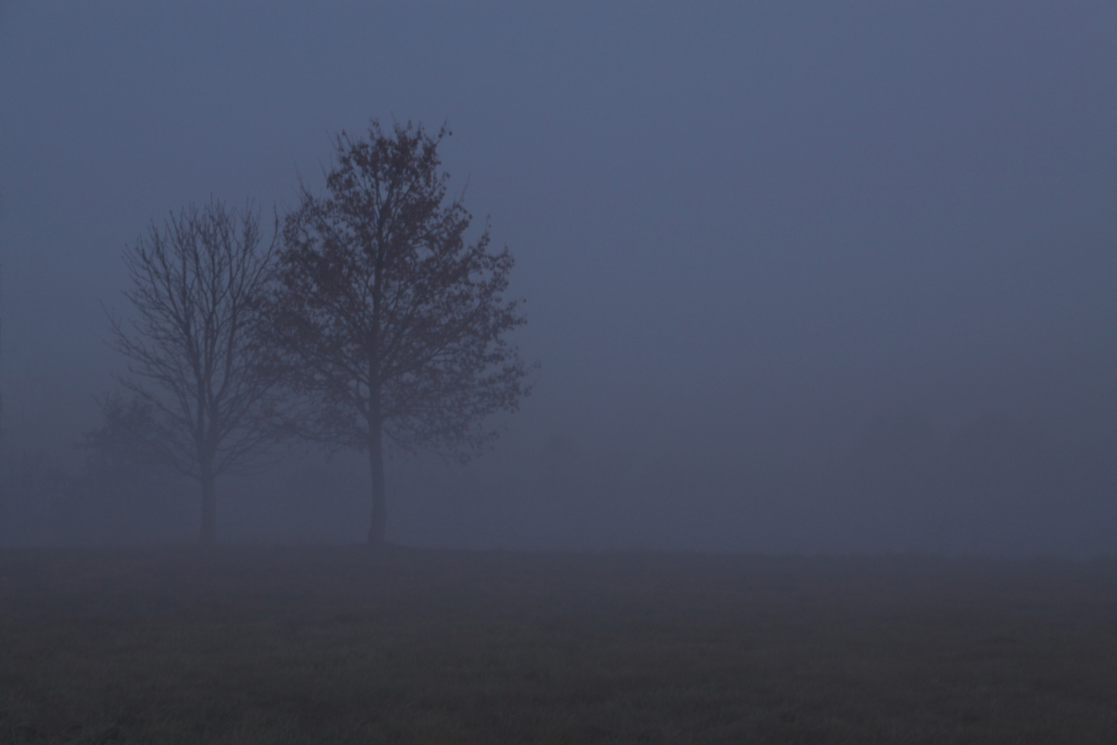 blaue Stunde im Nebel