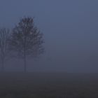 blaue Stunde im Nebel