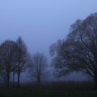 Blaue Stunde im Nebel