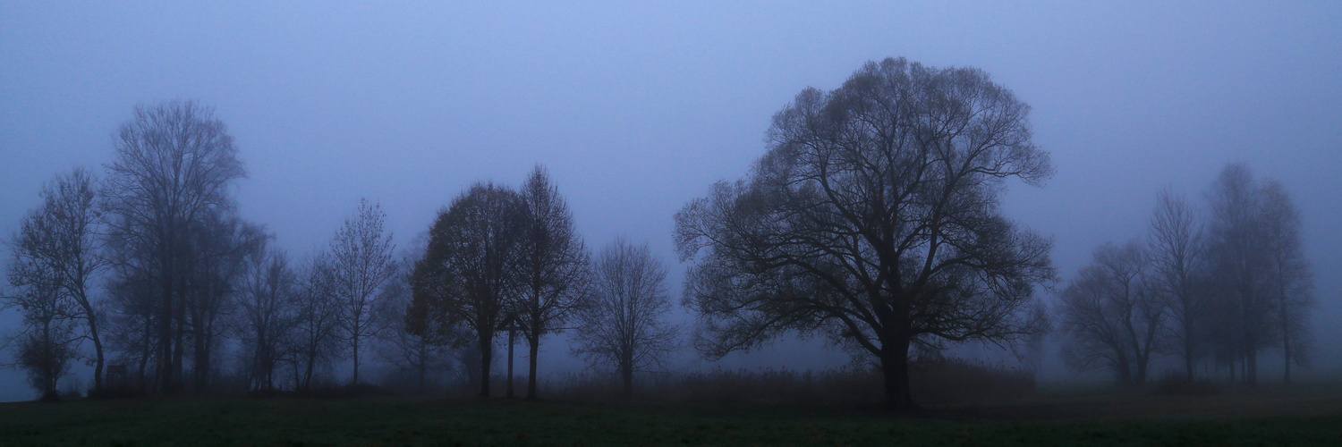 Blaue Stunde im Nebel