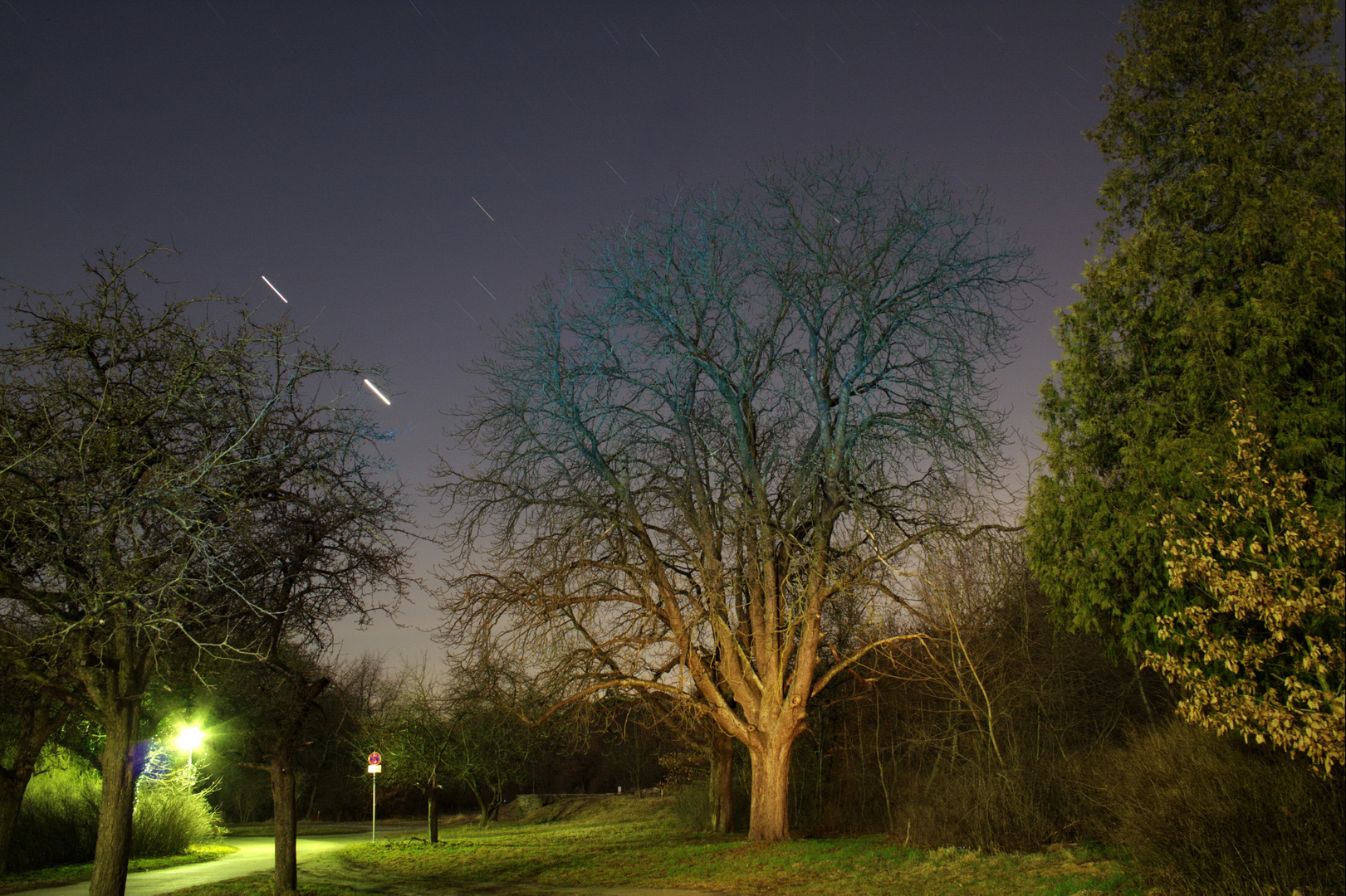 Blaue Stunde im Park