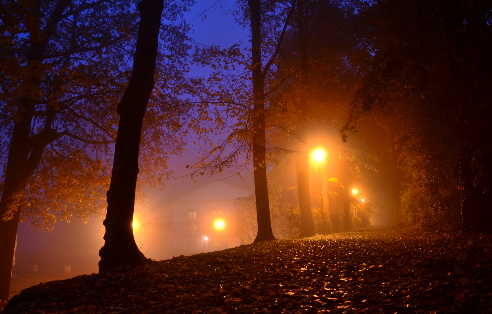 Blaue Stunde im Park