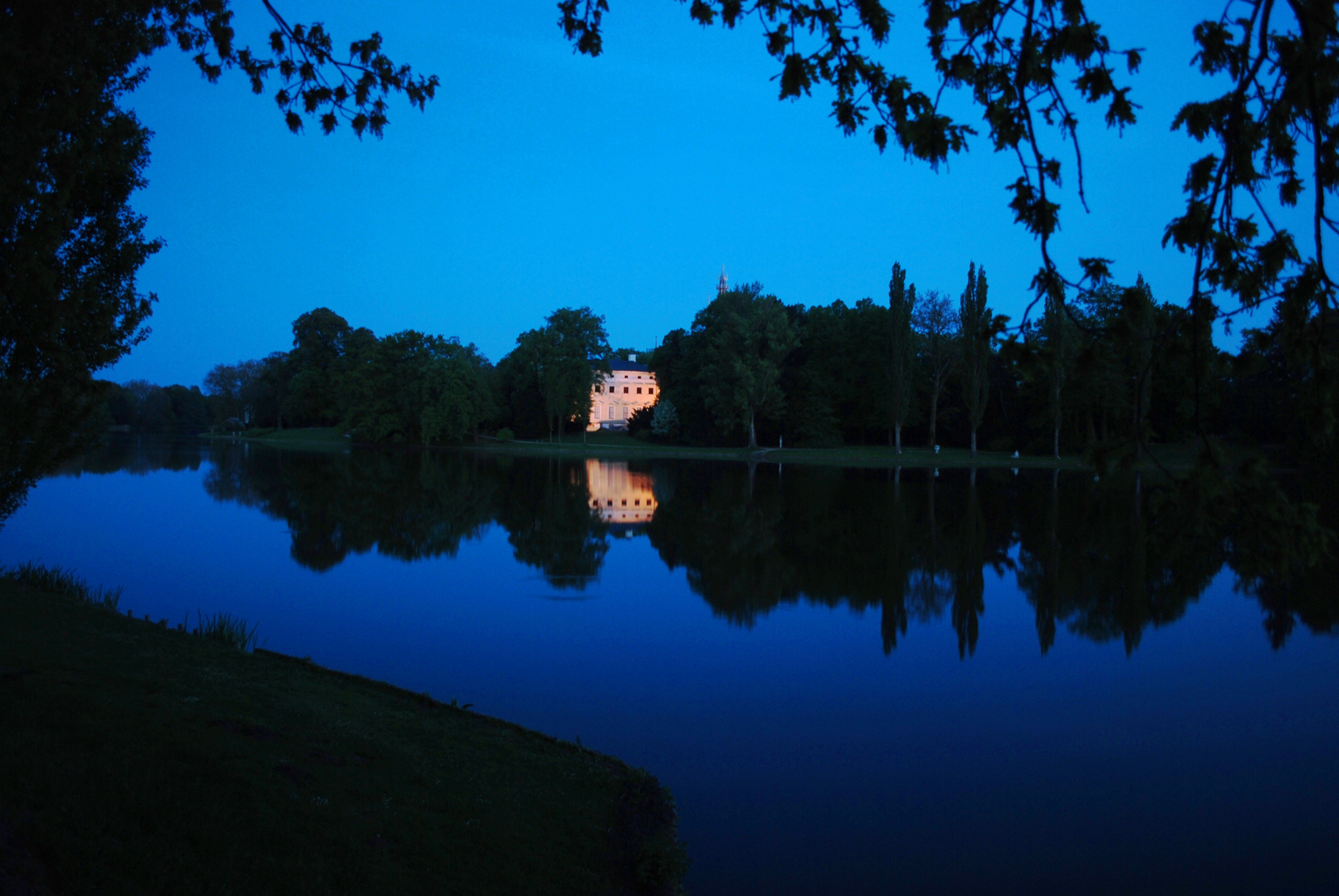 Blaue Stunde im Park