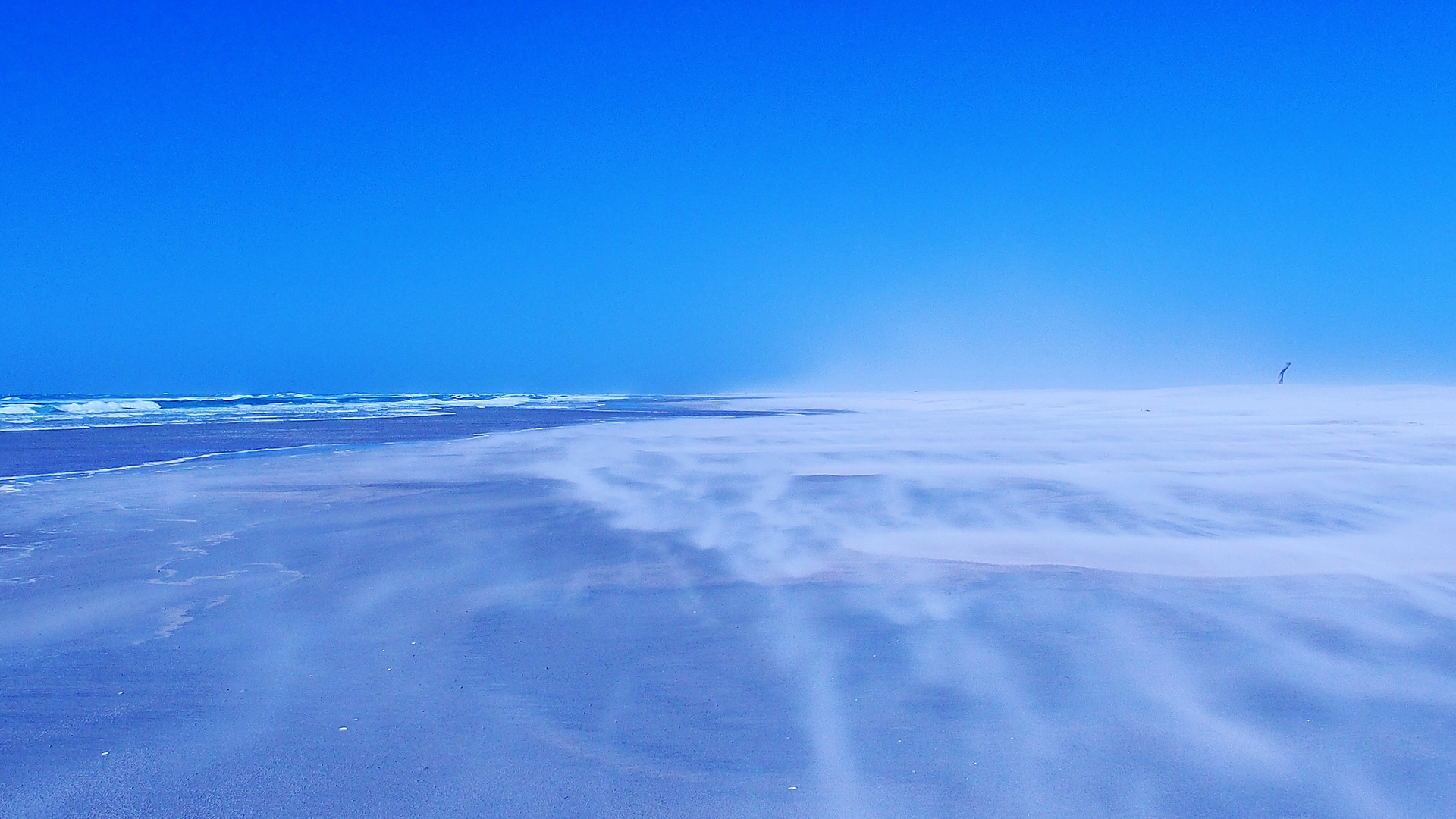 Blaue Stunde im Sandsturm