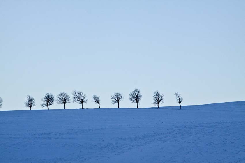 Blaue Stunde im Schnee