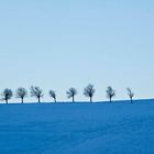 Blaue Stunde im Schnee