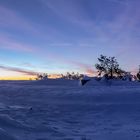 Blaue Stunde im Schnee