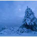 Blaue Stunde im Schnee