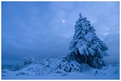 Blaue Stunde im Schnee