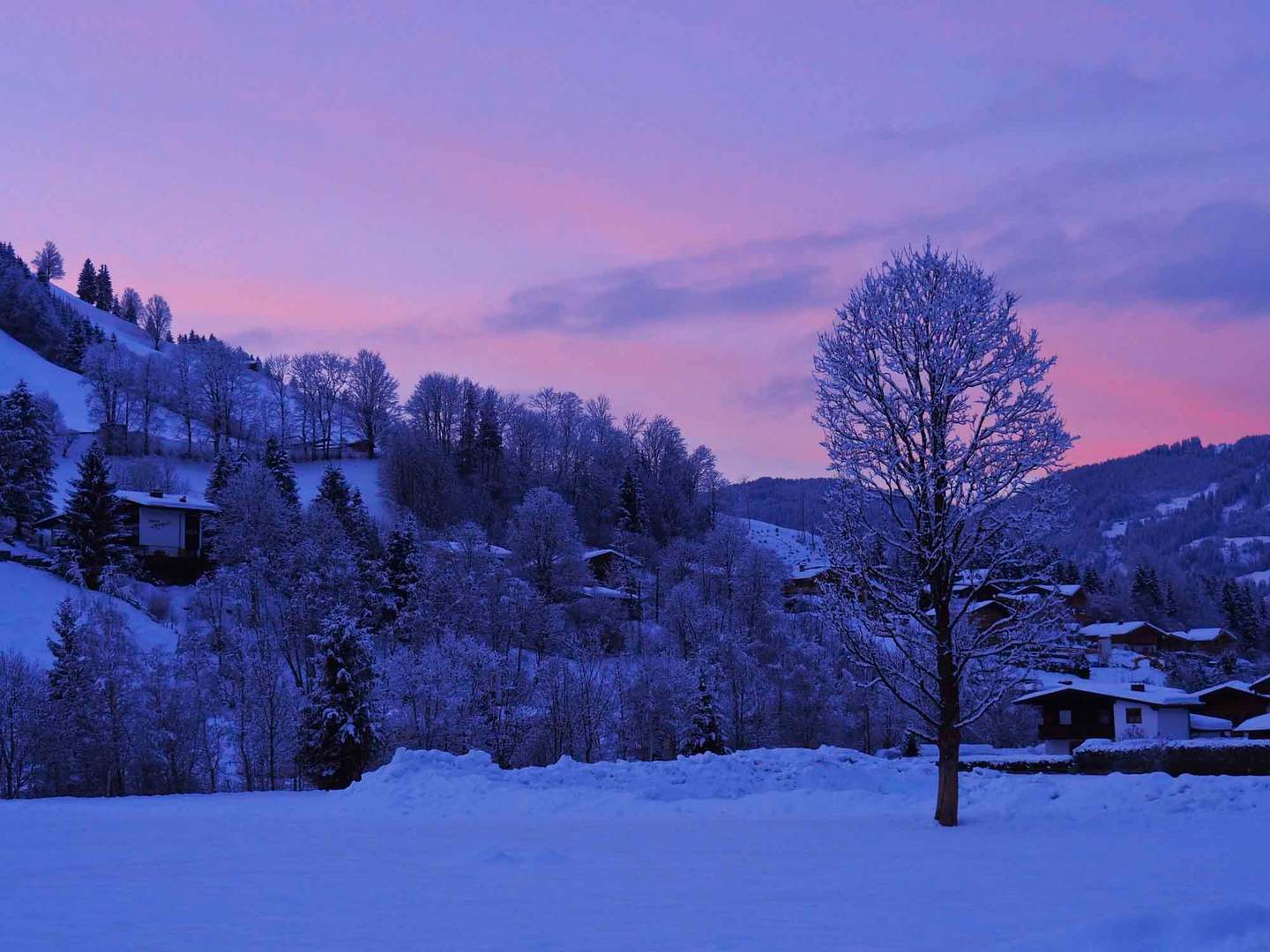 Blaue Stunde im Schnee