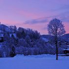 Blaue Stunde im Schnee