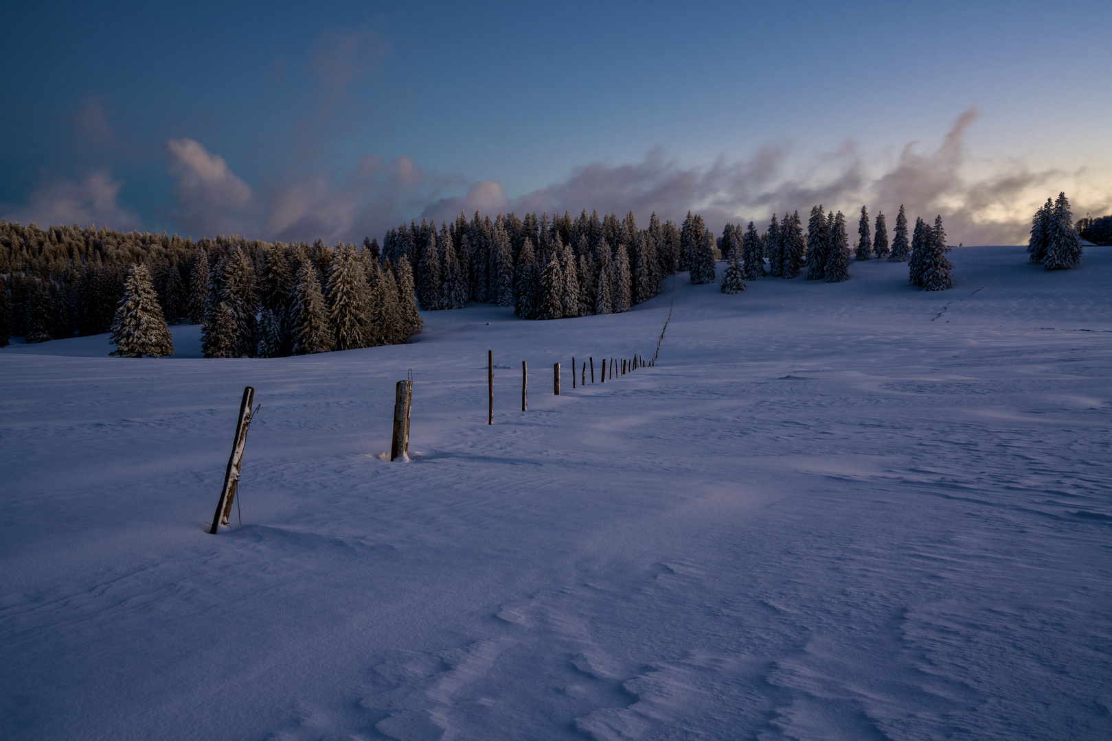 Blaue Stunde im Schnee