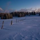 Blaue Stunde im Schnee