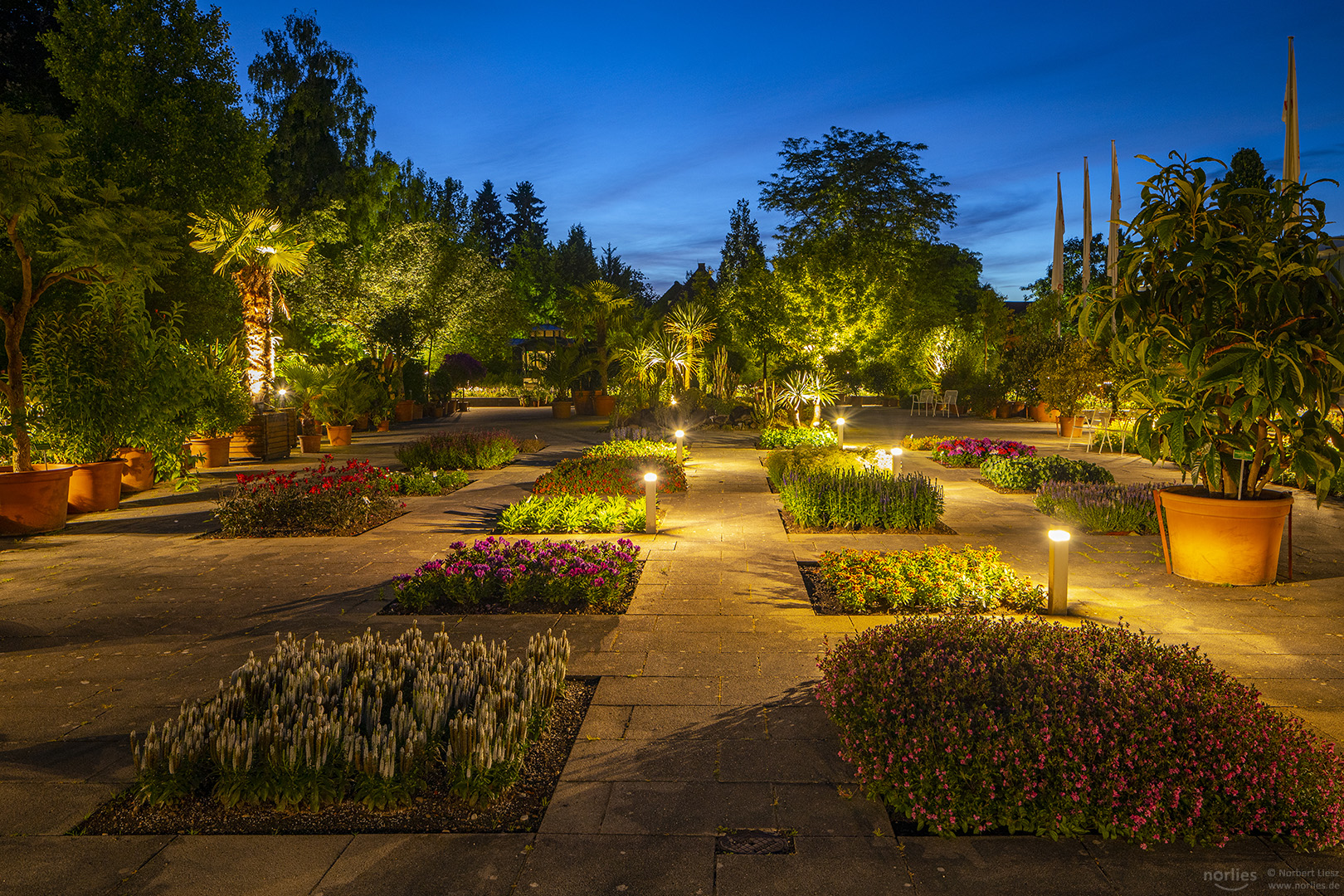 Blaue Stunde im Senkgarten