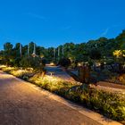 Blaue Stunde im Senkgarten