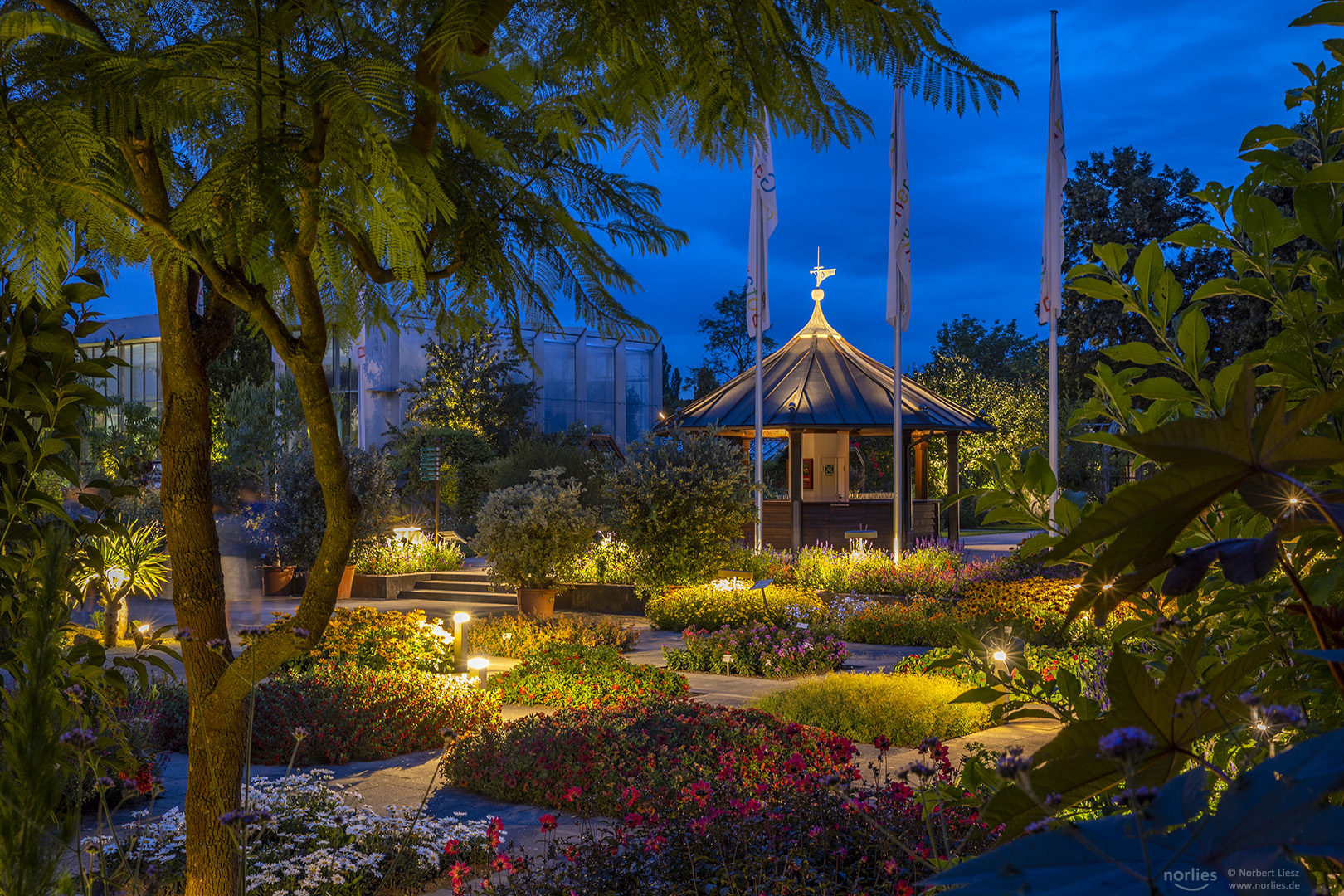 Blaue Stunde im Senkgarten