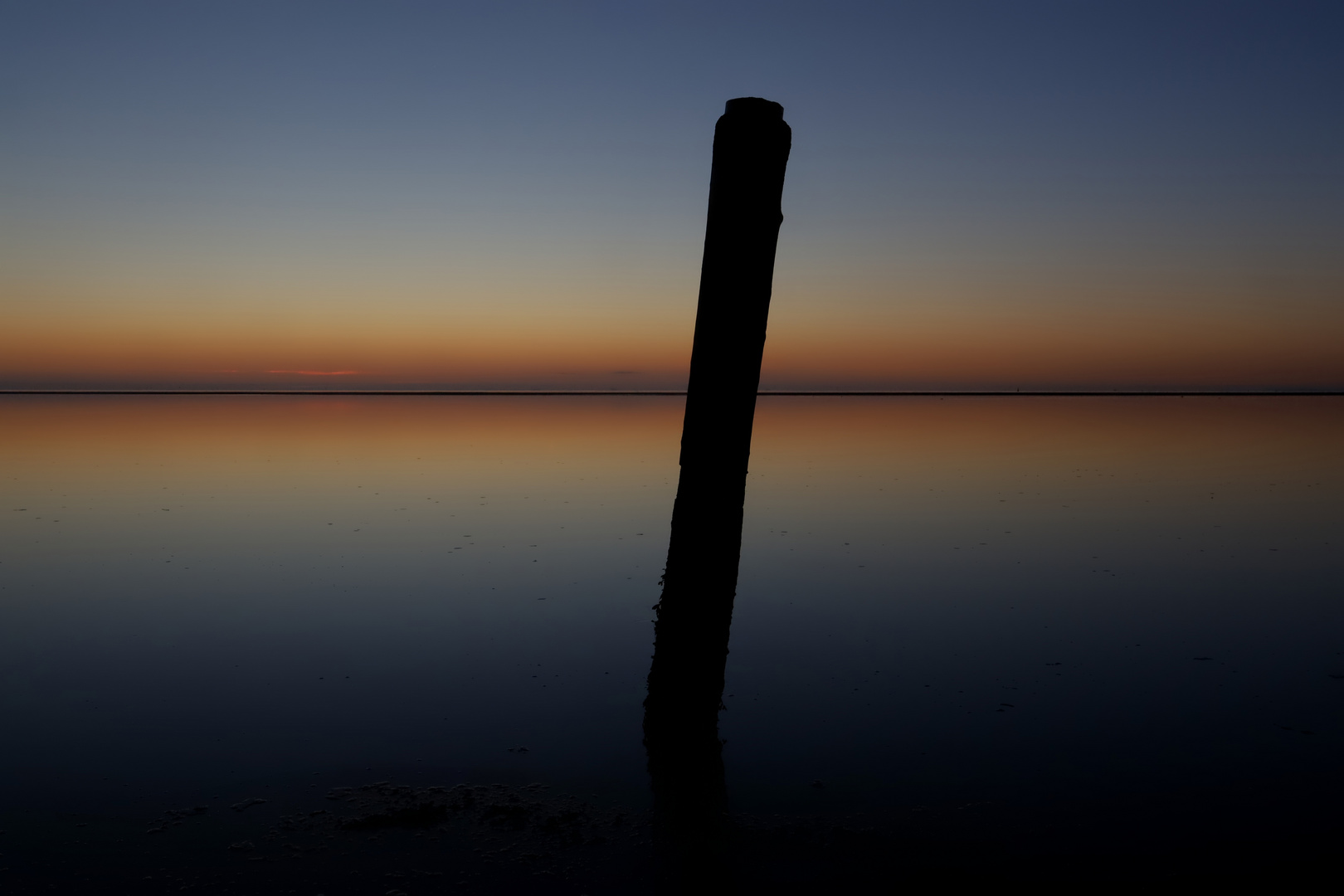 blaue Stunde im Wattenmeer