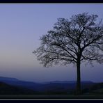 Blaue Stunde im Weserbergland