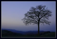 Blaue Stunde im Weserbergland