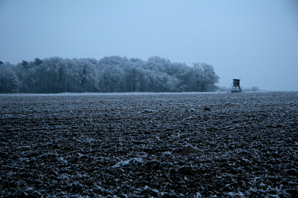 blaue stunde im winter