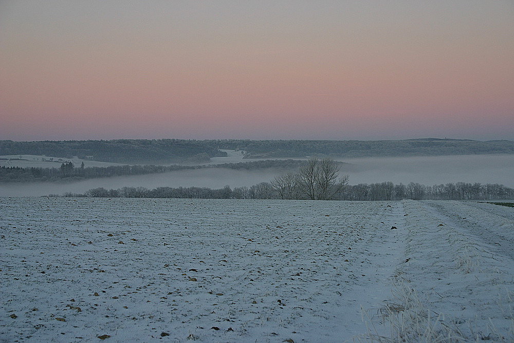 Blaue Stunde im Winter