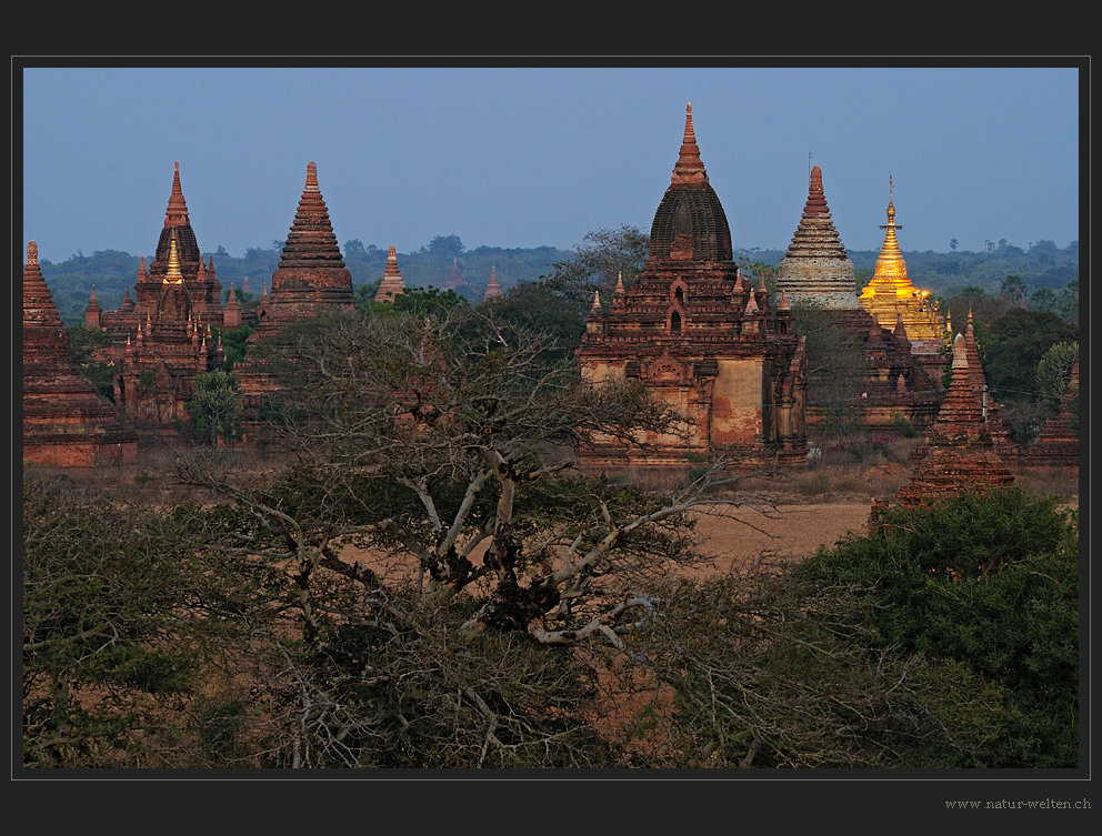 Blaue Stunde in Bagan