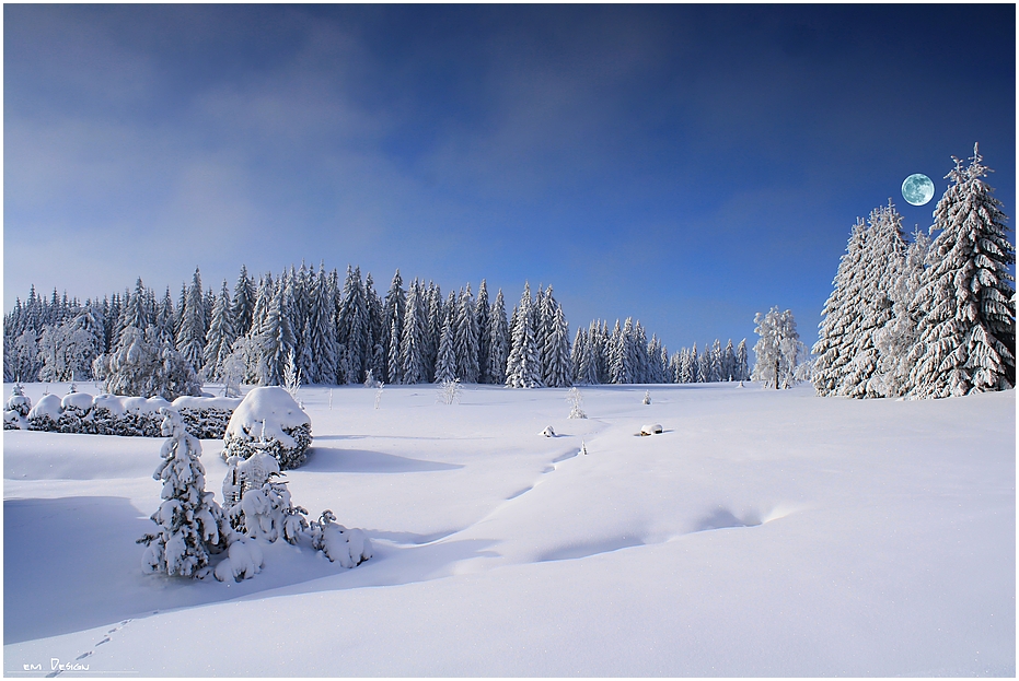 Blaue Stunde in Carlsfeld