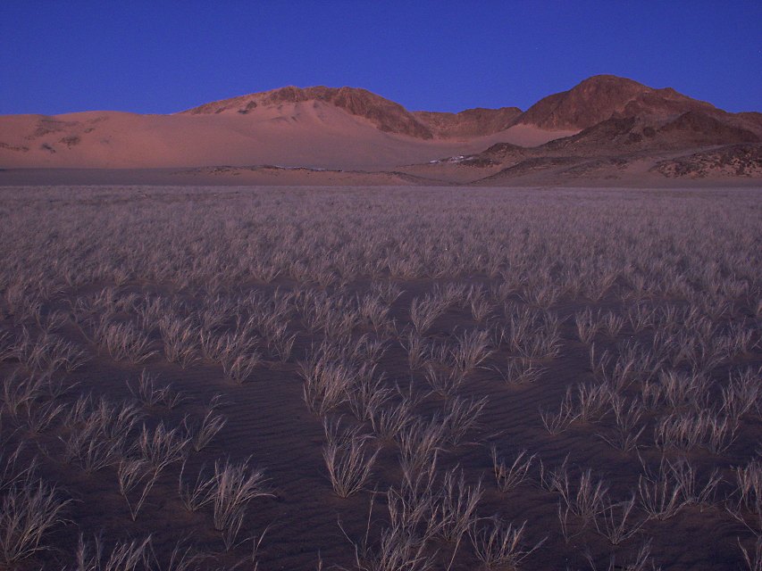 "Blaue Stunde" in den algerischen Dünen der Sahara