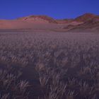 "Blaue Stunde" in den algerischen Dünen der Sahara