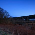 Blaue Stunde in der Naturlandschaft