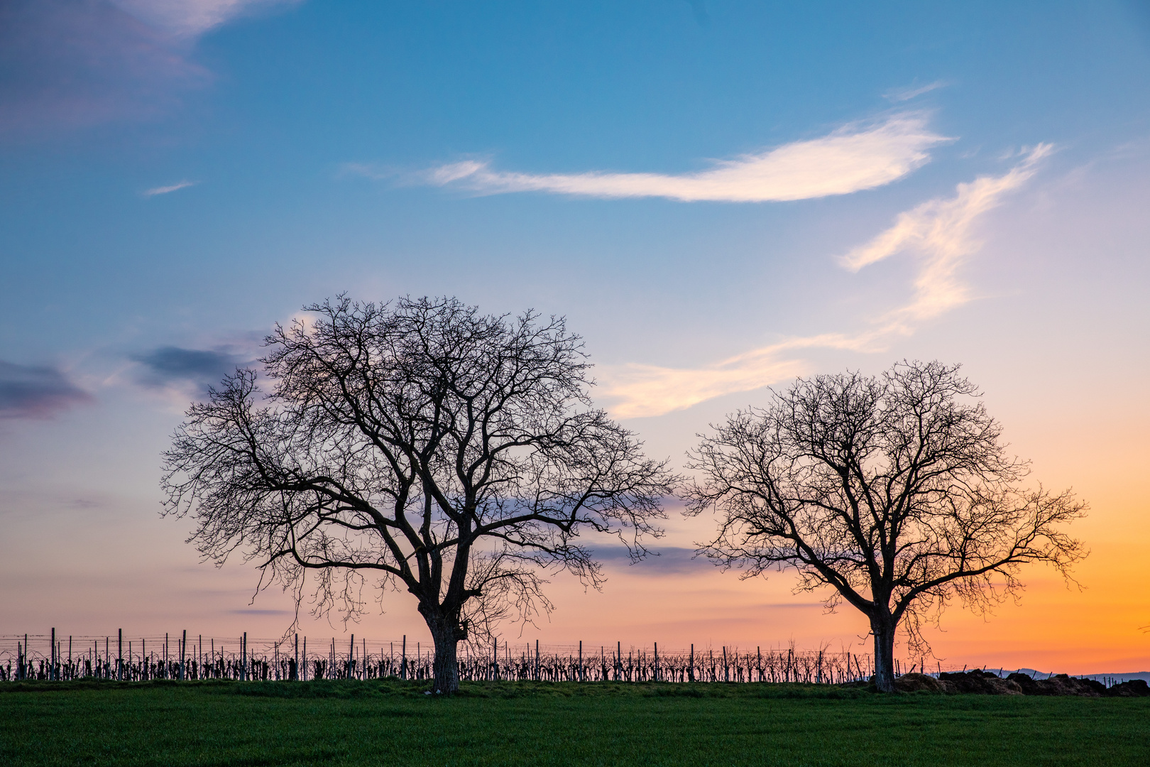 Blaue Stunde in der Vorderpfalz