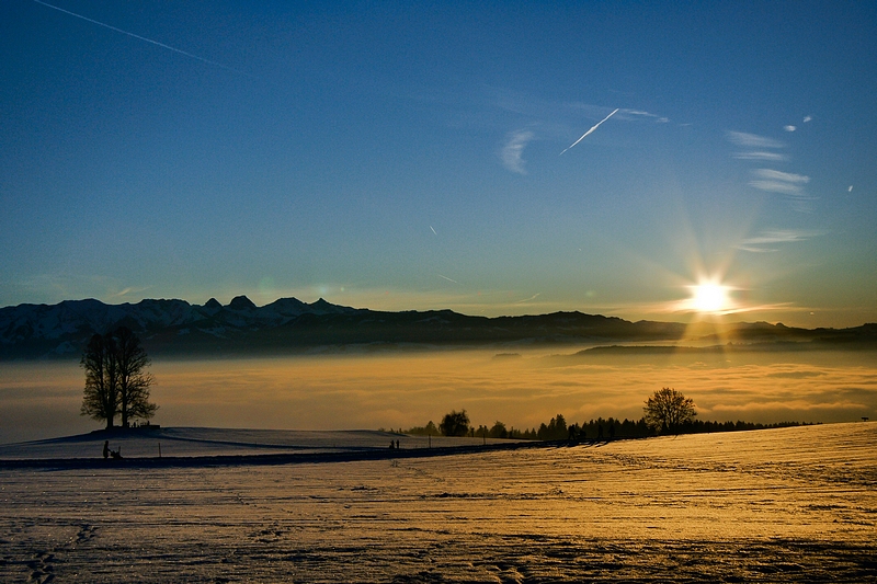 blaue Stunde in Gold.