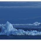 Blaue Stunde in Grönland