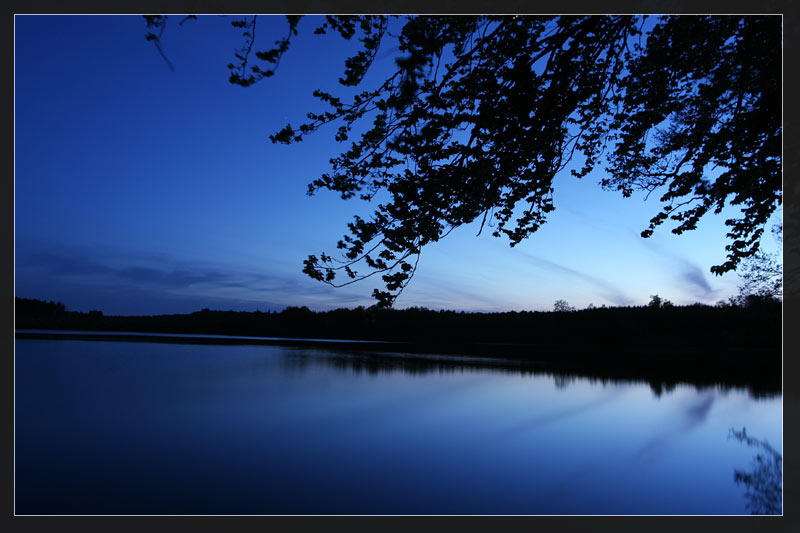 Blaue Stunde in Hochform