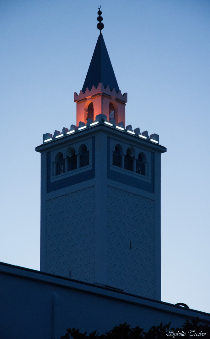 Blaue Stunde in La Marsa (Tunis)