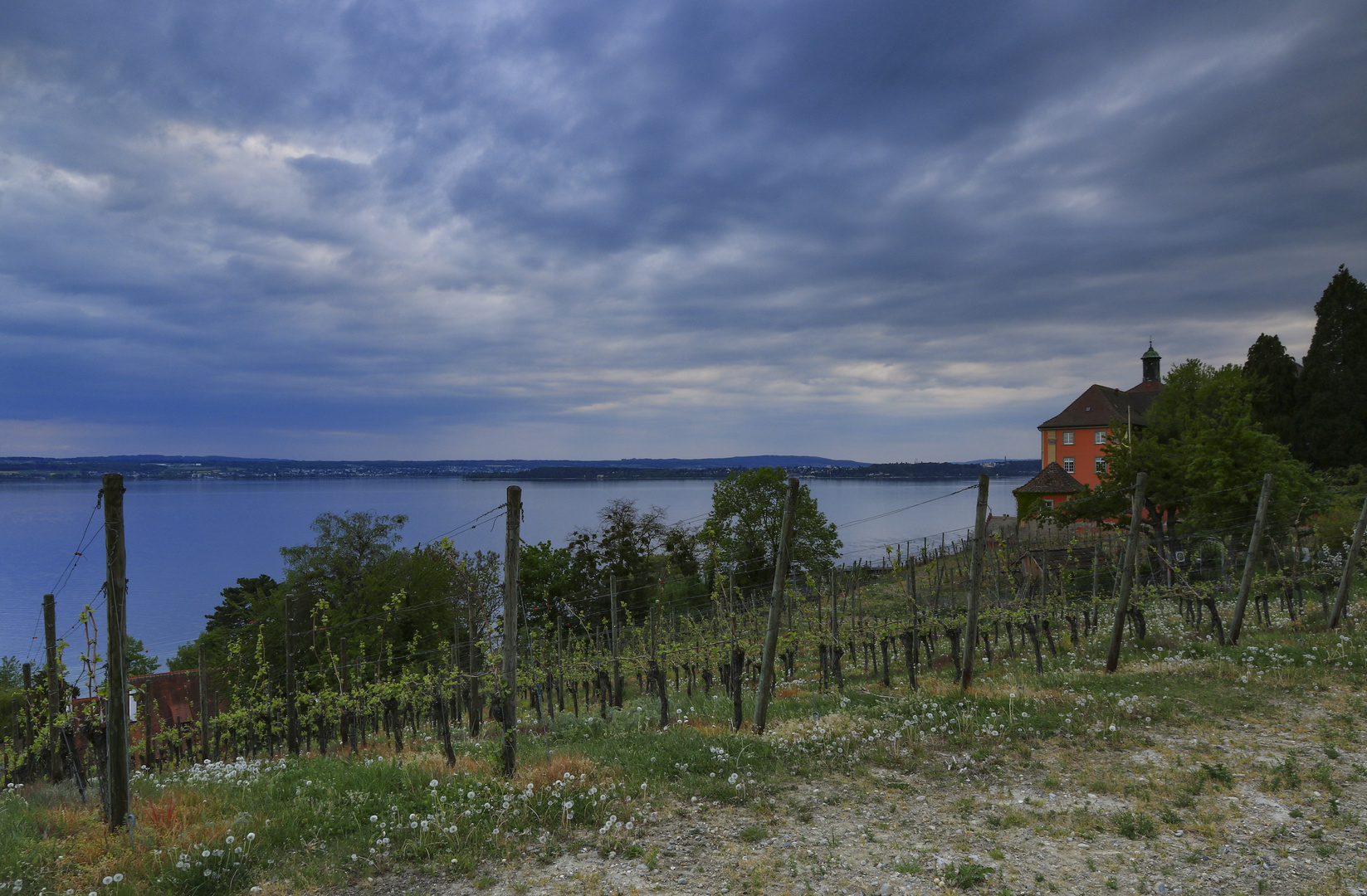 Blaue Stunde in Meersburg