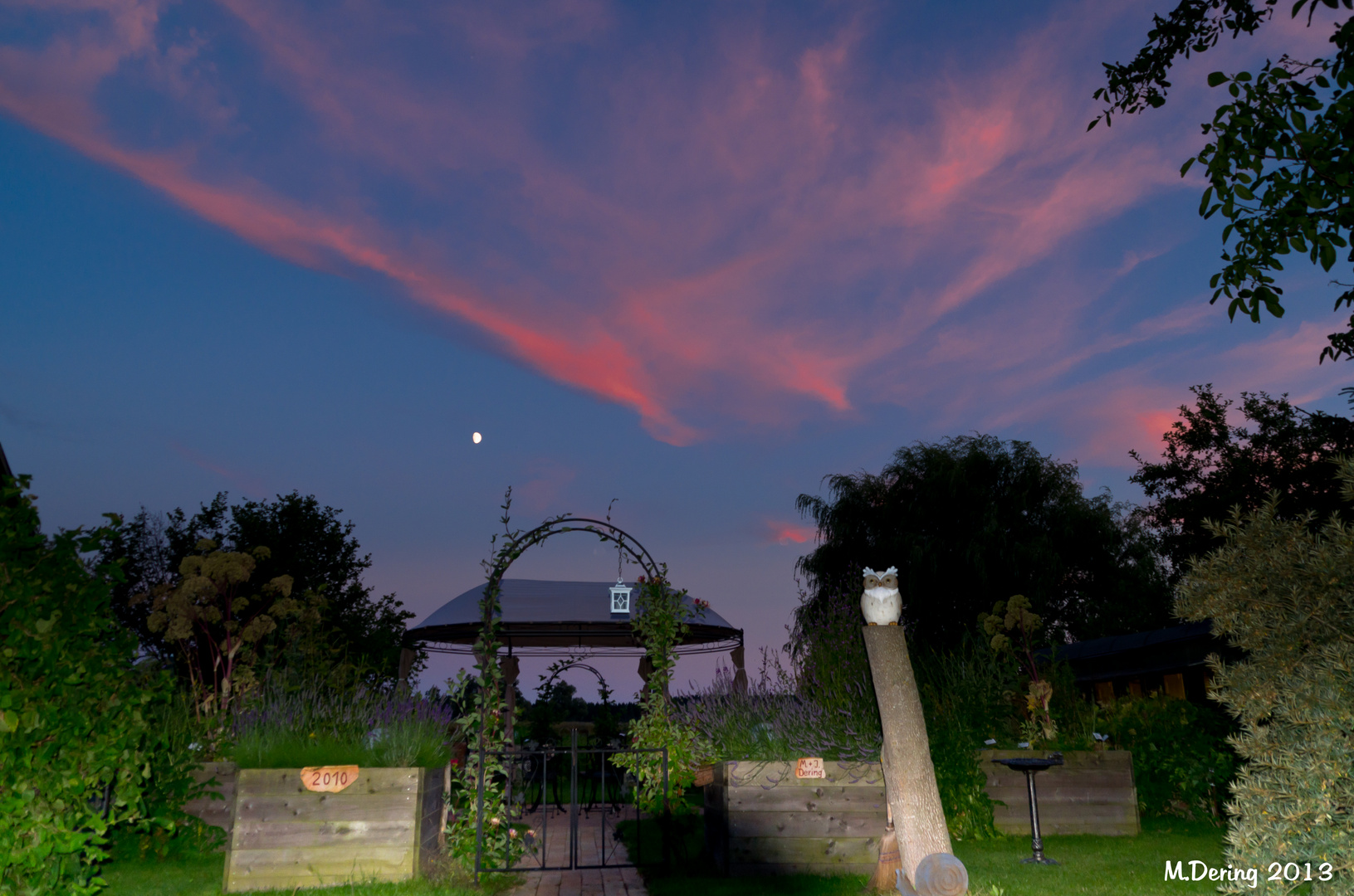 Blaue Stunde in Michas Kräutergarten