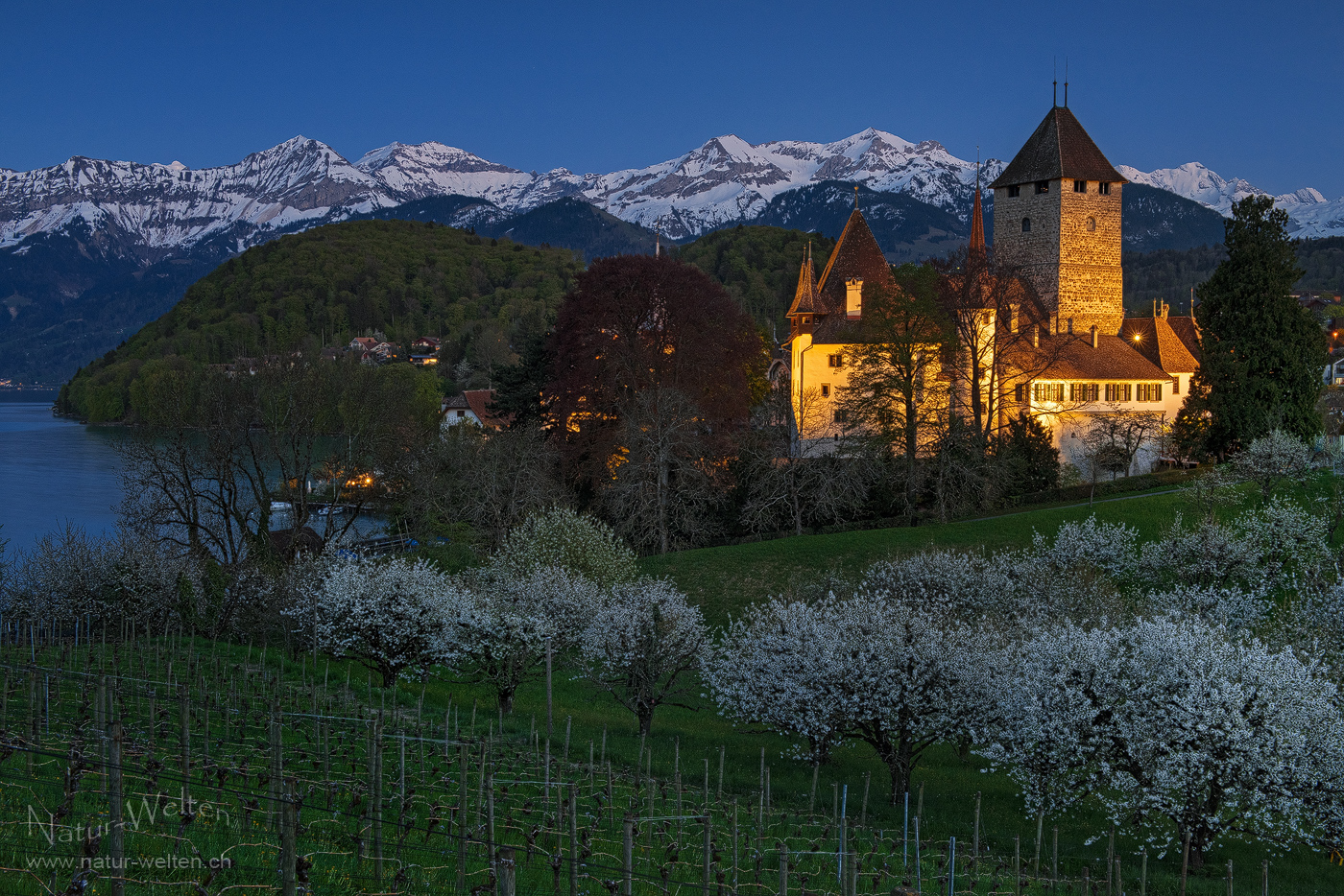 Blaue Stunde in Spiez