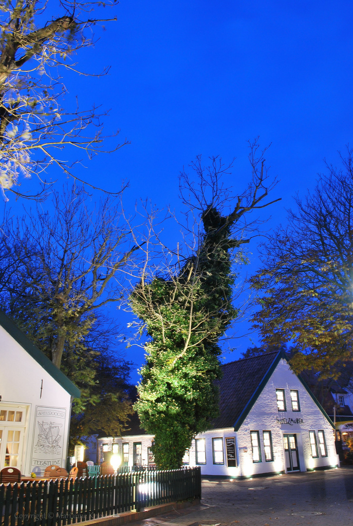 Blaue Stunde in Spoekeroog