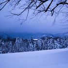 blaue Stunde irgendwo in Oberbayern