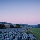 Blaue Stunde mit Blaukraut