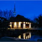 Blaue Stunde, mit Fernsehturm ...