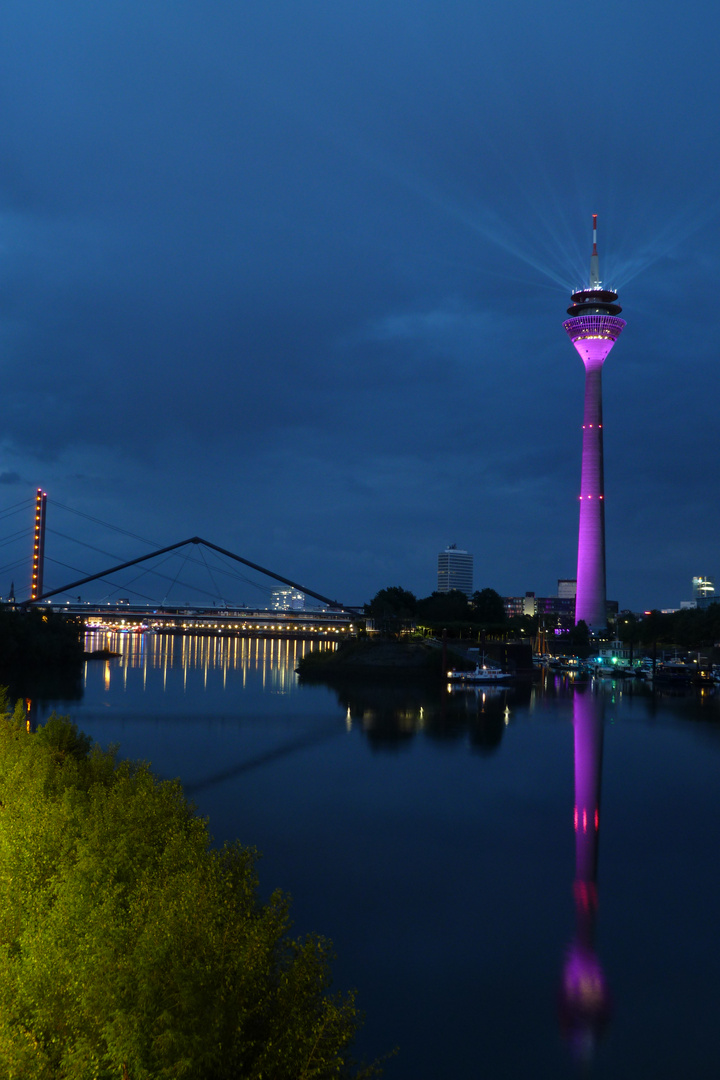 Blaue Stunde mit Grün und Pink