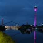 Blaue Stunde mit Grün und Pink