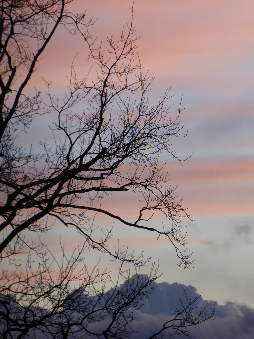 Blaue Stunde - mit rosa.