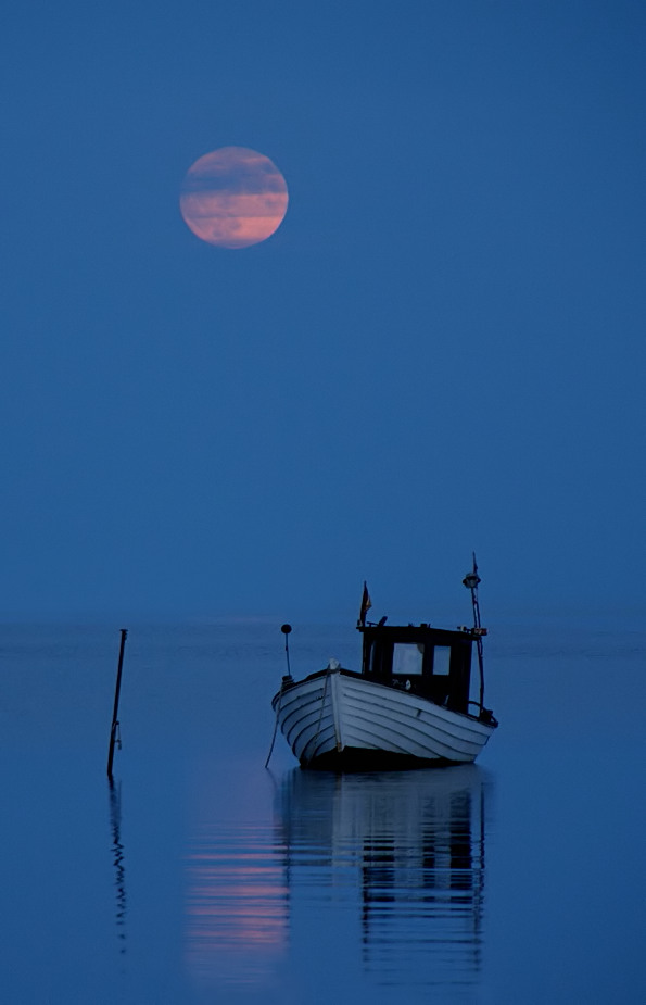 Blaue Stunde mit rosa Mond...