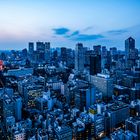 Blaue Stunde mit rotem Turm in Tokyo