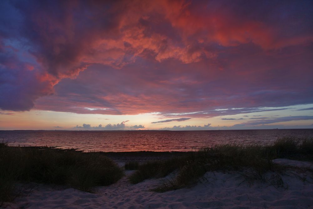 Blaue Stunde mit Strandhafer_6546